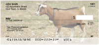Goats Personal Checks | ANI-28