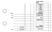 Fruit Multi Purpose Designer Business Checks  | BU3-CDS03-DEP