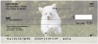 Mini Poodle Personal Checks | DOG-104