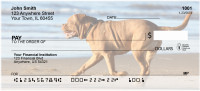 Majestic Mastiff Personal Checks | DOG-41