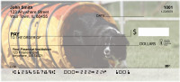 Agility Border Collies Personal Checks | DOG-45