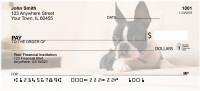 Boston Terrier Personal Checks | DOG-47