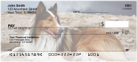 Collies Out and About Personal Checks | DOG-76