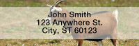 Goats Rectangle Address Labels | LRANI-28