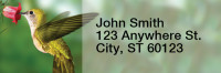 Hummingbirds Rectangle Address Labels | LRRANI-25