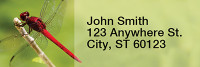 Dragonflies Rectangle Address Labels | LRRANI-26
