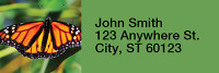 Monarch Butterflies Rectangle Address Labels | LRRANI-38