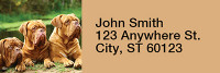 Majestic Mastiff Rectangle Address Labels | LRRDOG-41