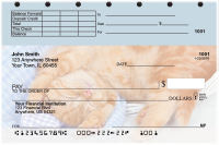Cute Kittens Top Stub Personal Checks | TSANI-06R