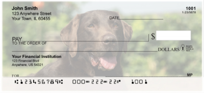O So Chocolate Labs Personal Checks | DOG-54
