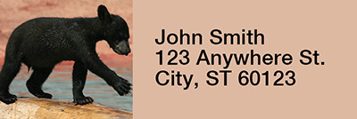 Black Bear Cubs Rectangle Address Labels | LRRANI-44