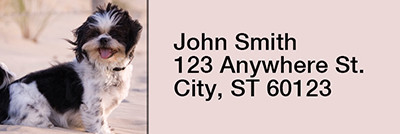 Shih Tzus Rectangle Address Labels | LRRDOG-22