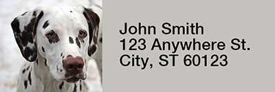 Snugly Schnauzer Rectangle Address Labels | LRRDOG-77
