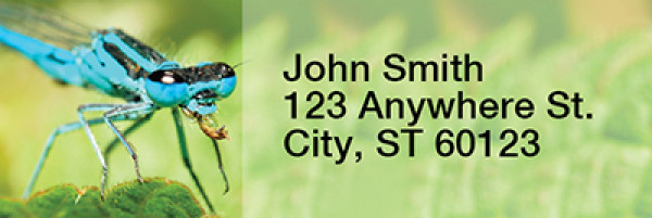 Dragonflies Rectangle Address Labels | LRRANI-26