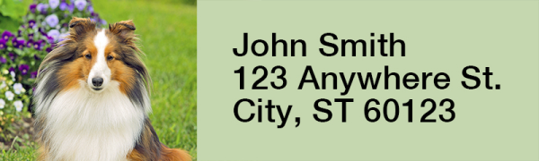Shetland Sheepdog Narrow Address Labels | LRRDOG-109