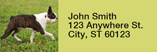 Boston Terrier Rectangle Address Labels | LRRDOG-47